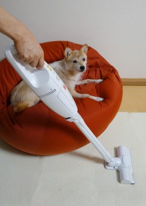 アイリスオーヤマのペット用超軽量コードレス掃除機「Design for Pets PIC-SLDC1」